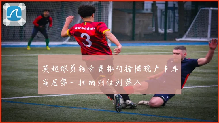 英超球员转会费排行榜揭晓卢卡库高居第一托纳利位列第八