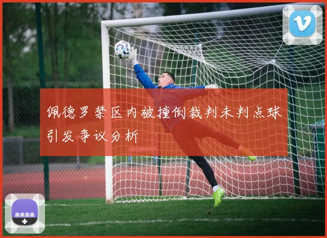 佩德罗禁区内被撞倒裁判未判点球引发争议分析