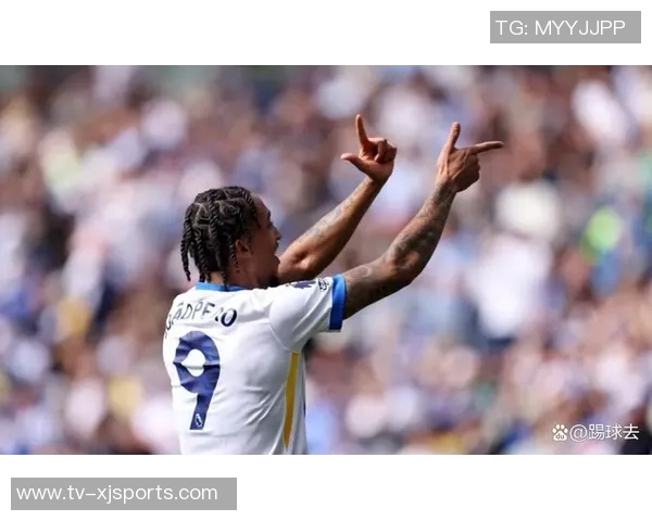 谢林汉姆评论切尔西放弃杰克逊的决定对佩德罗适应影响深远